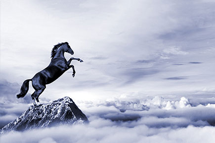 888电子游戏登录入口